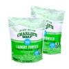 Charlie’s Soap Laundry Powder (100 Loads, 2 Pack) Hypoallergenic Deep