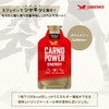 カルノパワーENERGY（1個） (10個箱入り, ジンジャーエール)