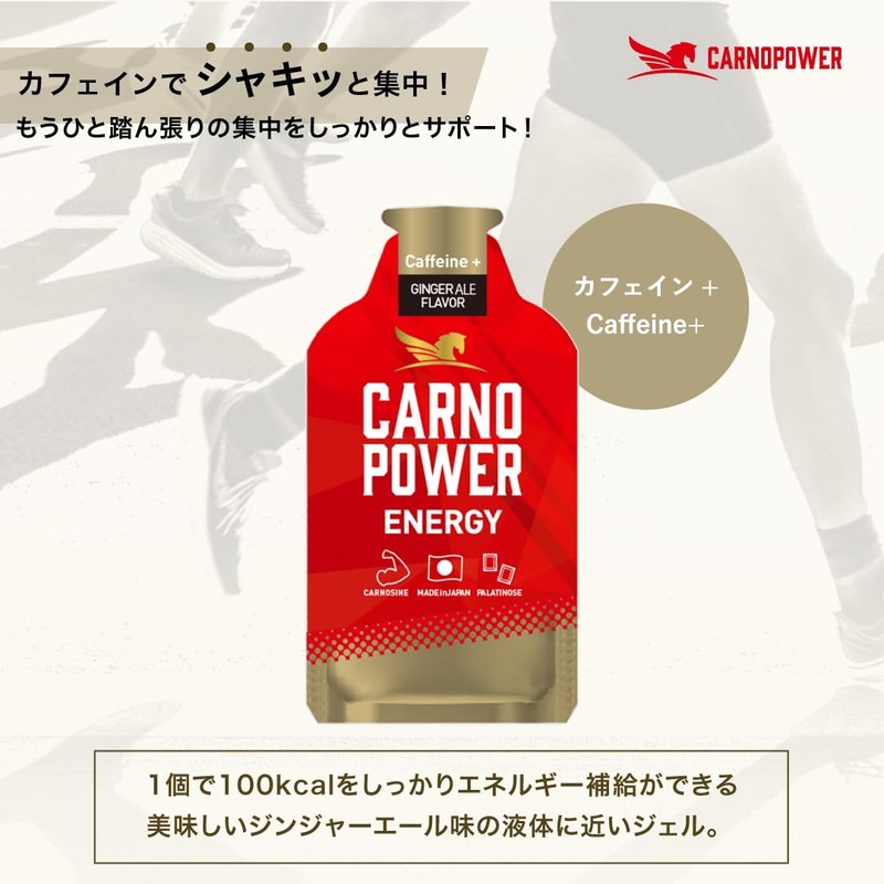 カルノパワーENERGY（1個） (10個箱入り, ジンジャーエール)