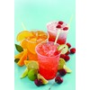 R. Torre & Company Mango Drink Syrup, 750mL (03-0095) Category: