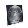 NIUBEE Acrylic Record Rack, Wall Mounted, LP Album Cover Stand,