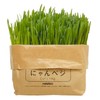 HARIO Cat Grass Cultivation Kit, Nyanbagi and Others 2 Pack