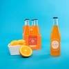 Boylan Bottling Craft Cane Sugar Soda - Orange 12oz Glass