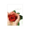 Colourful Flowers: 10 Real Rainbow Roses - Long Handled -