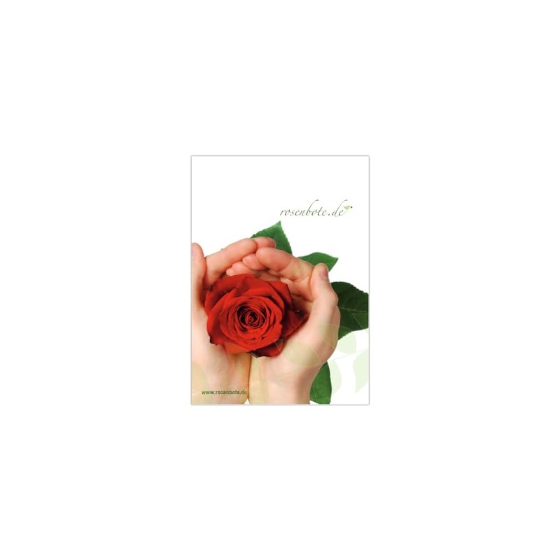 Colourful Flowers: 10 Real Rainbow Roses - Long Handled -