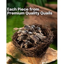 BNYEE 7 OZ Freeze Dried Little Quail Treats for Dogs Cats, High Protein Raw Dog Food, Single Fresh Ingredient Treats, Rawhide Free