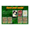 kidsnado cabo Card Game