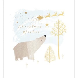 Pack of 5 Xmas Polar Bear Charity Christmas Cards Supporting Multiple Charities 493676 493676