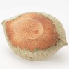 Marui Pottery Shigaraki Ware MR-3-3056 Hechimon Small Bowl, Lotus