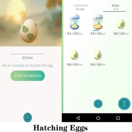 [2 Sets] Steps Counter Compatible for Po-ke-mon Go Walker Phone Swing Accessories [Mute Version] Egg hatcher Rocker Quick Steps Earning Device[Support 4 Phones Black]