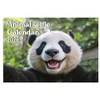 Animal Selfies Calendar 2026 A4 12 Month to View Wall