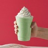 Big Train Dragonfly Green Tea Blended Crème Beverage Mix, 3.5