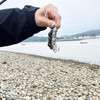 Sea Fishing Hook Bait Making Tool For Bass Cod Tope