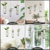 MIPON Plant Propagation Stations,Hanging Glass Propagation Test Tube Vases for