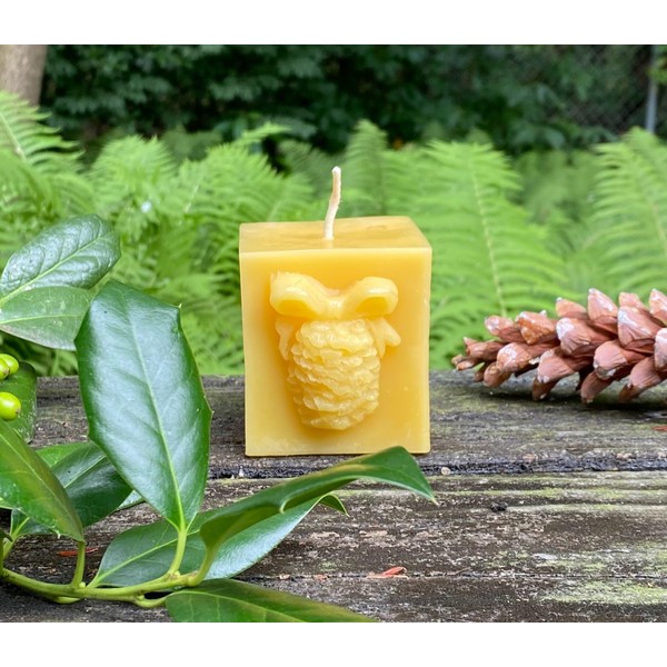 Pinecone Gift Beeswax Candle / 100% Bees Wax Candles/Pine Cone/Forest/Seeds/Christmas