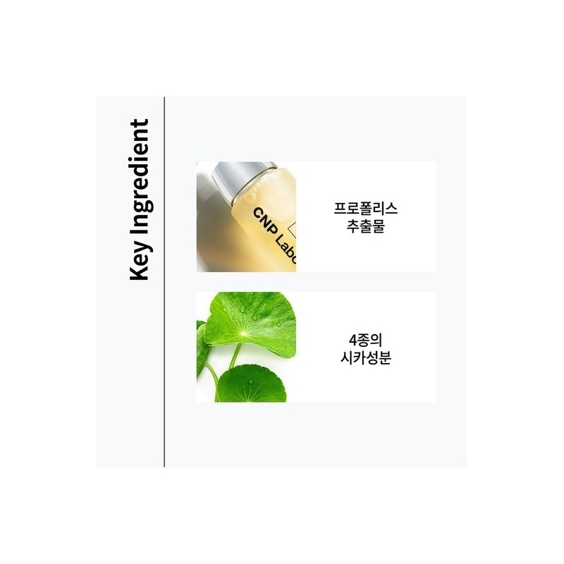 Propolis Ampoule Shot Cream 75ml / 프로폴리스 앰플 샷 크림