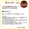 黒 にんにく卵黄 黒酢 120粒 初回限定 大地の宝 国産 無臭 熟成 黒酢にんにく