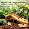 Aquarium & Terrarium Corner Cave Faux Mangrove Root Hideout for