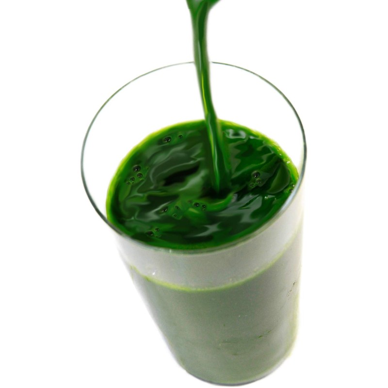 遠藤青汁　無添加国産ケール100％冷凍生タイプ　100ｇ×28袋セット