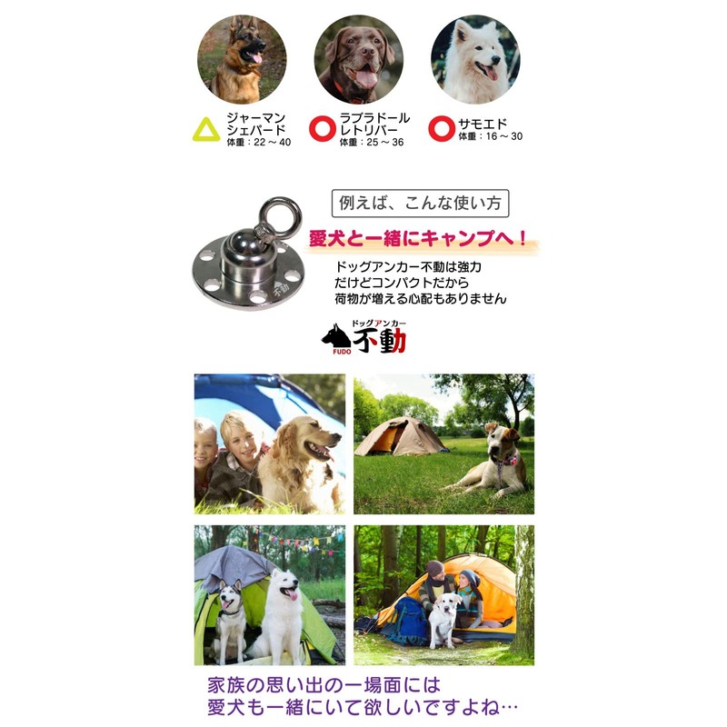 FUNKS Dog Anchor, Steadfast Peg Bolt Anchor Set, Dog Anchor,