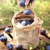 Tescoma Vegetable Bag 4Food 2.5 L