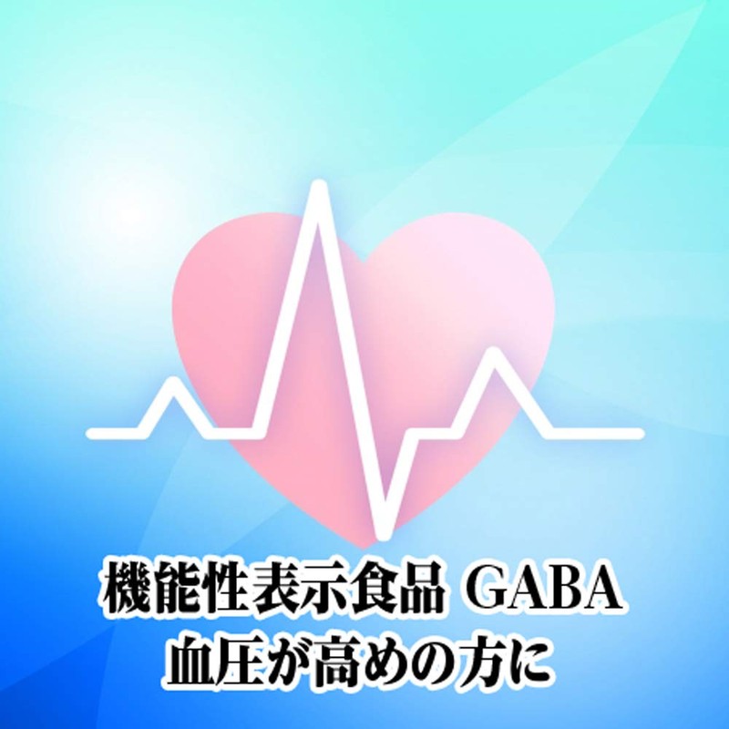 파인 기능성 표시 식품 GABA 30일분(60 알갱이) EPA DHA 배합