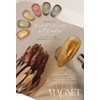 Amber Magnet Gel Nail Amber Warm Color Gel Magnetic Nail