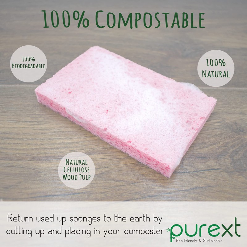 PureXT 16 Pop-Up Eco Sponges | Compostable, Cellulose | Dish