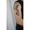 2 Sheets Dragon and Phoenix Tattoo Fake Tattoo Arm Tattoo