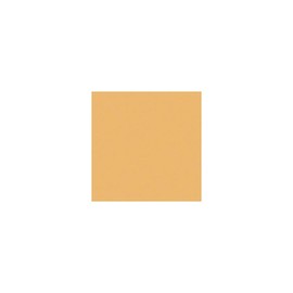 Rosco Cinegel Sun 85, 20x24 Color Correction Lighting Filter