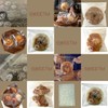 SWEETM Bread Bag, Wrapping, Sale, Gift, Tape Included (100)