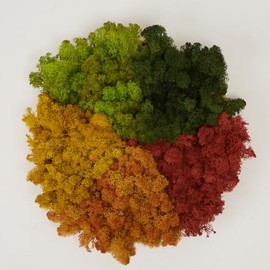 Prefleur Preserved Reindeer Mix Craft Moss Natural Green DIY Kit Gardenning Art Wall Decor Florist Easter Table Decor Wedding Decor (1lb)(Green-12 Green-01 Sunflower Fall-Yellow Coral)(Style-1)