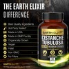 Earth Elixir Cistanche Tubulosa 400 mg (180 Capsules) 3 Months