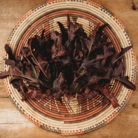 Red Oakleaf Leaf Lettuce - 250 Seeds - Heirloom Oakleaf Lettuce Variety, Great for Cutting, Spring Mix & Mesclun, Non-GMO Leaf Lettuce Seeds for Planting in The Home Garden, Thresh Seed Company