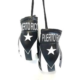 Set of Puerto Rico Black & White Window Hanging Car Flag, & Puerto Rico Black & White Boxing Glove