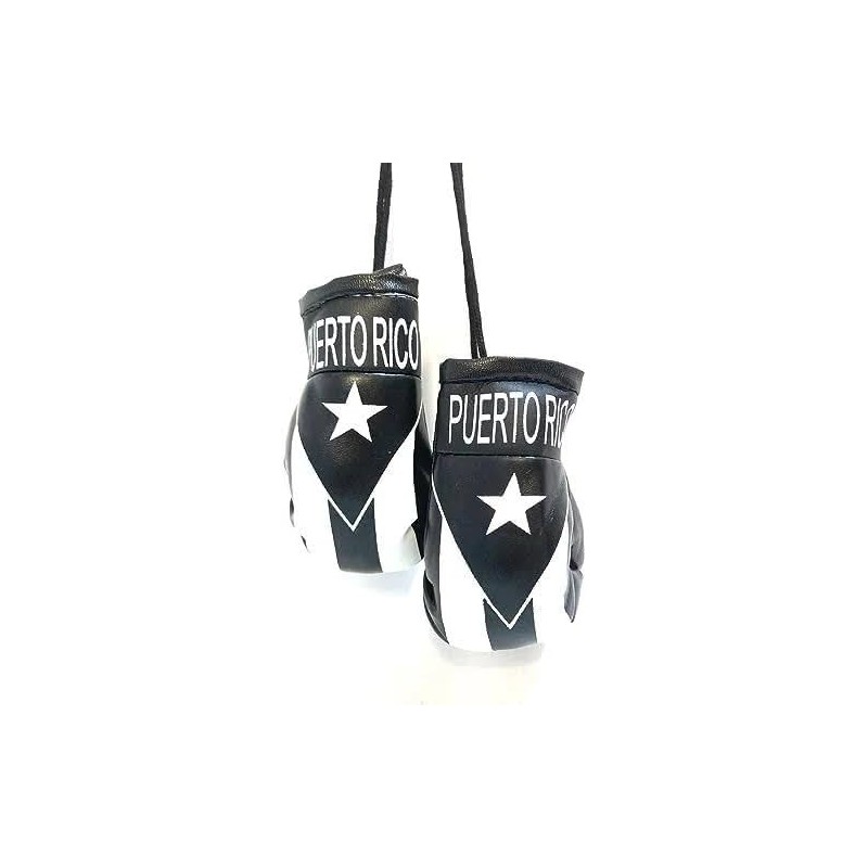 Set of Puerto Rico Black & White Window Hanging Car