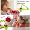 Cherry Pitter Tool Pit Remover, Cherry Core Remover Tool with