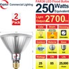 Explux 250 Watt Equivalent PAR38 LED Flood Light Bulbs, Super
