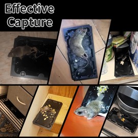 16 Pack Sticky Mouse Trap Rat Traps Indoor, Peanut Taste Pheromone Mouse Traps Indoor for Home, Glue Sticky Traps for Mice and Rats, Snake(Large Size)