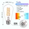Tiadio 4-Pack Vintage LED Edison Bulbs 60W Equivalent- ST58/ST19 6W