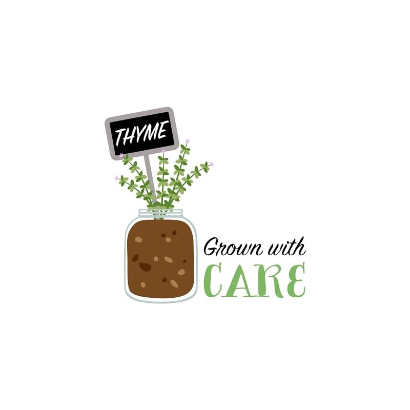 CafePress Grow Thyme Magnets Rectangle Magnet (100 pack)