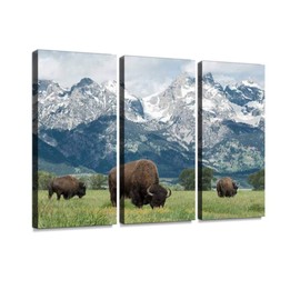 BELISIIS American Buffalo Wall Artwork Exclusive Photography Vintage Abstract Paintings Print on Canvas Home Decor Wall Art 3 Panels Framed Ready to Hang