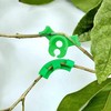 ZBHDEYG 40pcs Bender Plant Bending Clamp Branch Low Pressure Training
