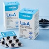 Daily One Lutein Astaxanthin 500mg / 데일리원 루테인 아스타잔틴 500mg