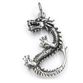 NKlaus 7445 Bone Dragon Pendant 3.5 cm Silver Gothic Scandinavian Amulet, Silver
