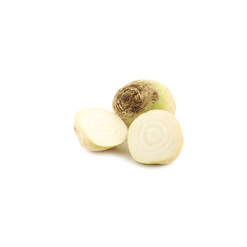 White Detroit Beet Seeds - Heirloom