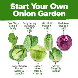 HOME GROWN 7 Cabbage Seeds for Planting - 2000+ Heirloom 𝗡𝗢𝗡-𝗚𝗠𝗢 𝗨𝗦𝗔 Seeds - Golden Acre,BokChoy,Savoy,Michihili, Red Acre, Copenhagen Market,Jersey Wakefield - Vegetable Seeds for Planting