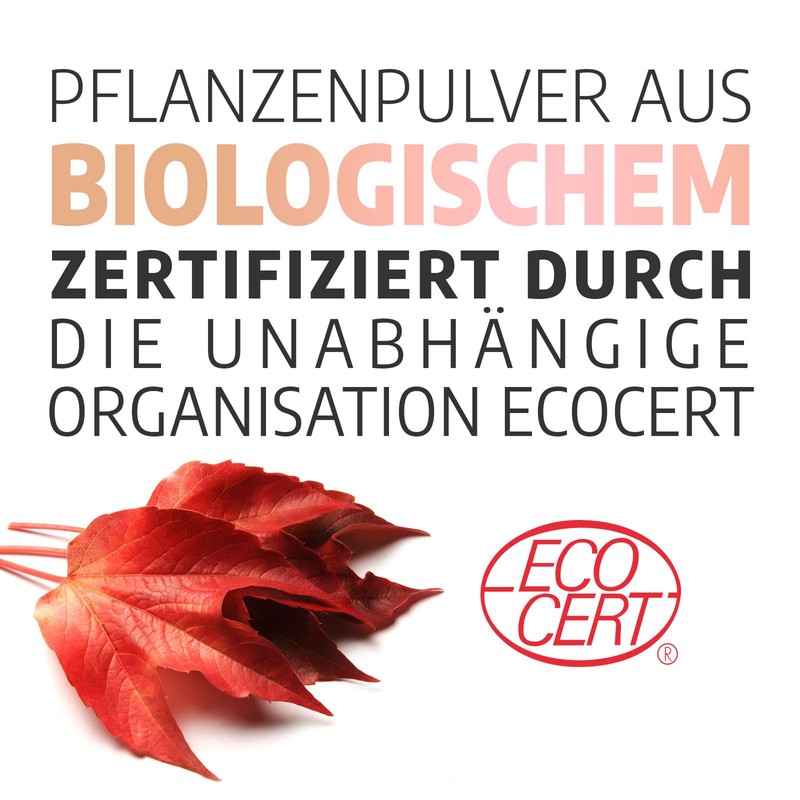 Bio Rote Weinlaub - 250 mg - 200 Kapseln
