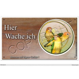 Panneau Birds or Plaque Caigues
