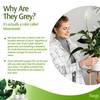 Twigs GA - Stackable Plant Support Stakes, Indoor & Outdoor